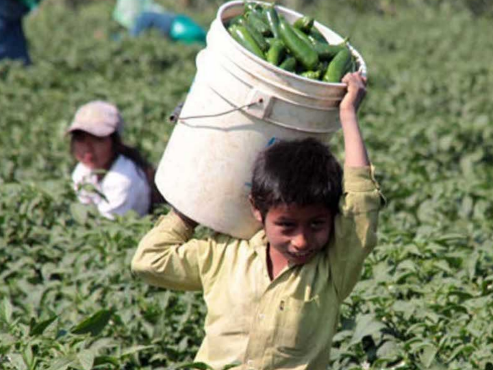 #ElijoComercioJusto para acabar con el trabajo infantil