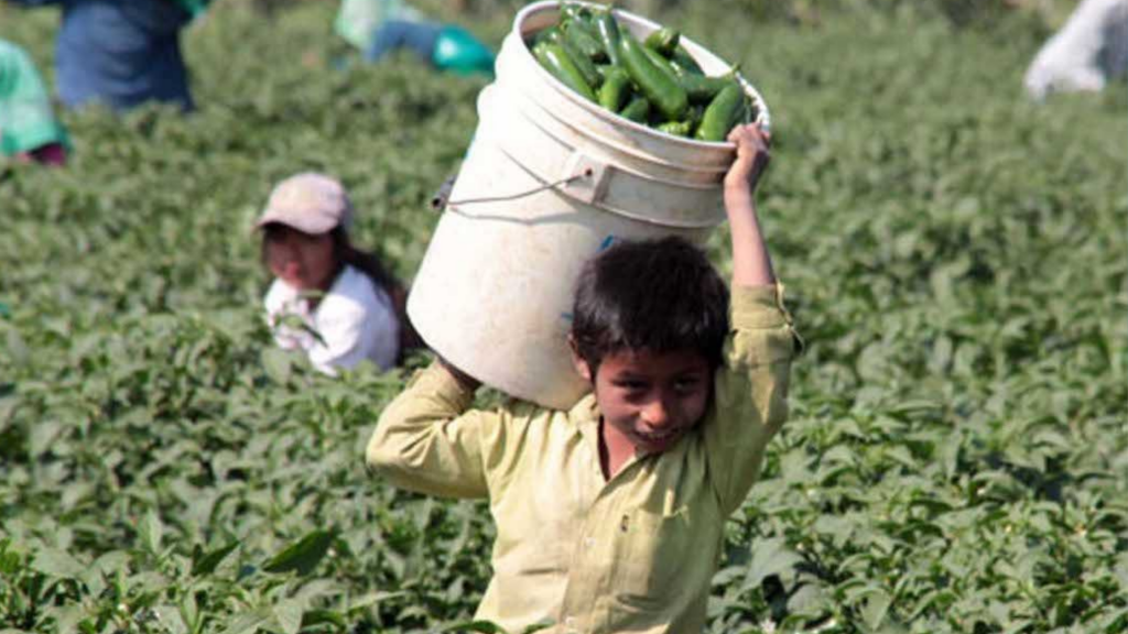 Conferencia internacional “Erradicar el trabajo infantil, construir un futuro mejor”