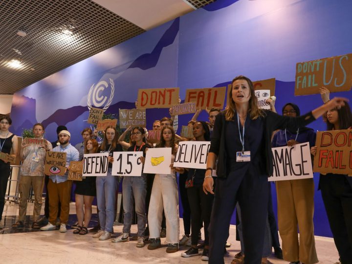 #COP27: siete logros, ocho problemas y una gran decepción