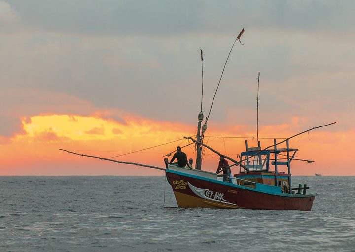 Trabajadores de la pesca | Estados árabes: Desempleo juvenil | Camboya: Debilitar a los sindicatos