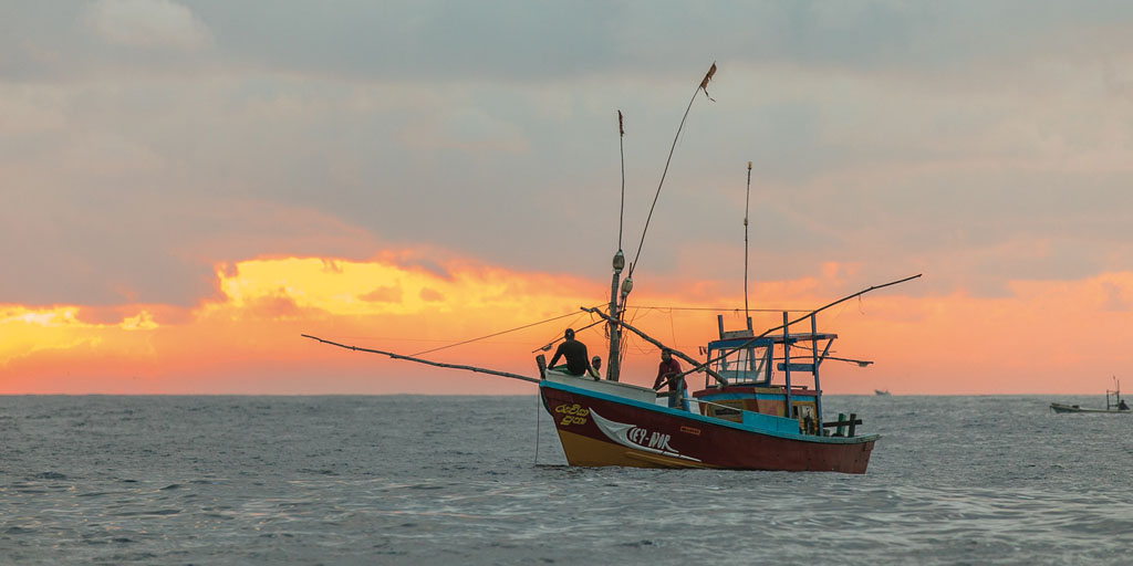Trabajadores de la pesca | Estados árabes: Desempleo juvenil | Camboya: Debilitar a los sindicatos