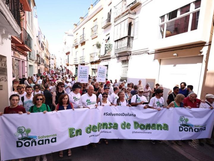 Miles de personas reclaman la paralización de la proposición de ley sobre los regadíos de Doñana